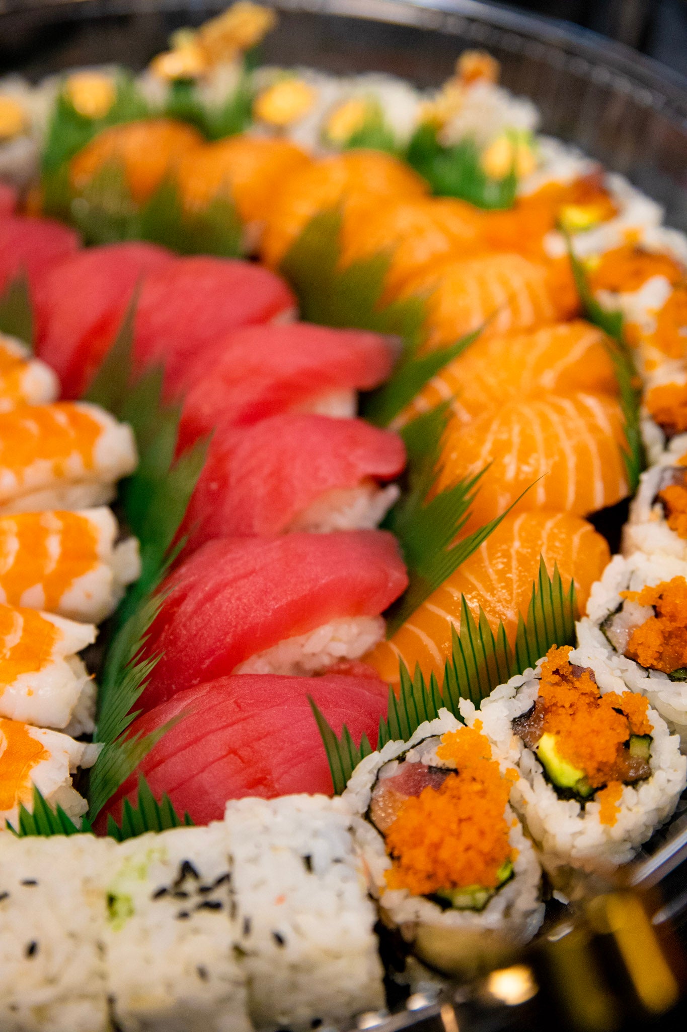 Sushi & Spring Rolls Platter